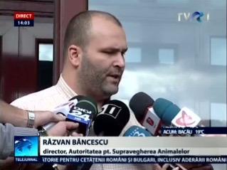 Razvan Bancescu2